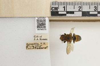 Media type: image;   Entomology 790173 Aspect: Labels